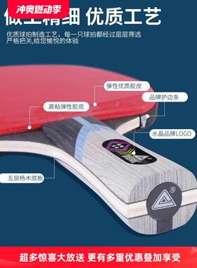 乒乓单拍乒乓反胶拍品旗舰生店套装小学初学者专用兵乓成人双拍正