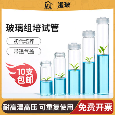 湘玻玻璃组培试管透气盖植物培养