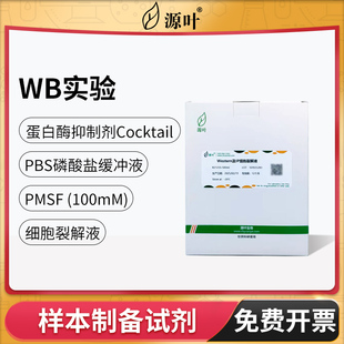 源叶PBS磷酸盐缓冲液Western及IP细胞NP40裂解液RIPA蛋白酶抑制剂