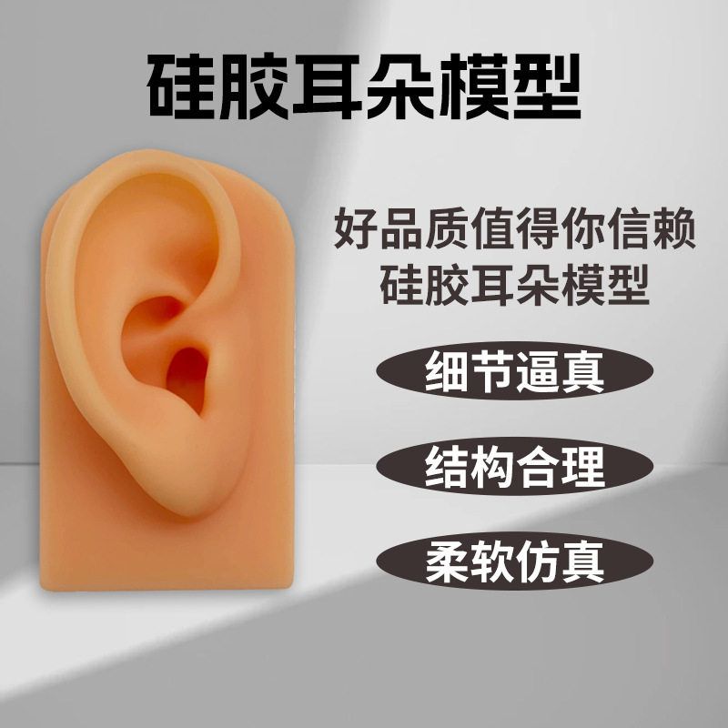 硅胶仿真耳朵模型硅胶耳朵假耳朵模型耳钉耳机展示道具厂家批发