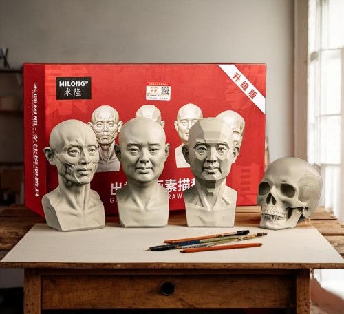 美术与设计教具米隆教学头像教具