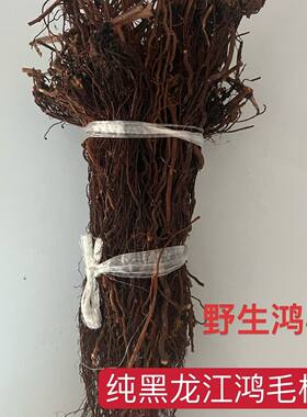 鸿茅泡酒料特产山货红毛