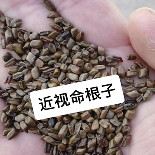 儿童护瞳贴家用秘方调理视模糊舒润疲劳润目明眸预防视模糊亮眸眼