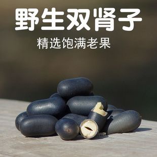 高山双肾子正品肾宝丹公黑肾果苦石莲子金刚果天然泡酒料