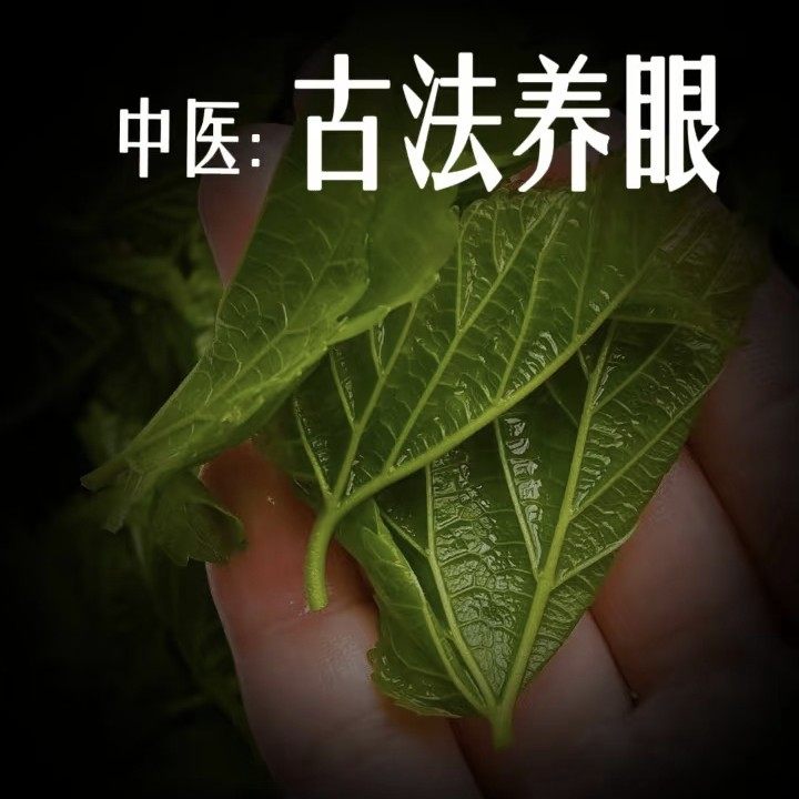 中草明眸包熏眼包独家秘制专用疲劳干涩提高清晰明眸熏蒸贴,居家日用,蒸汽眼罩,淘宝优惠券,粉丝福利购,淘宝优惠卷