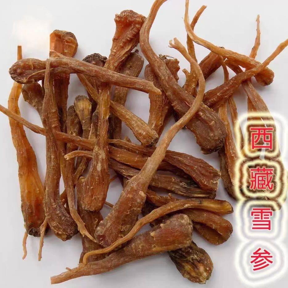 雪参高山藏雪参中药材西藏特产雪参王大条藏血参新鲜藏雪参纯天然