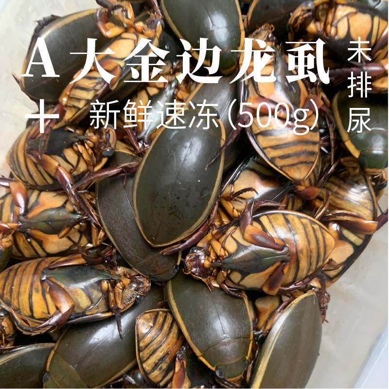 冷冻大金边龙虱水鳖食用水蟑螂水甲虫野生水鳖盖新鲜发货中草药材