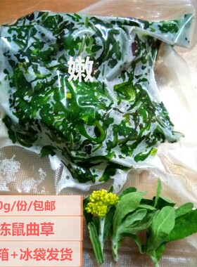 鼠曲草冷冻青团艾草棉清田艾叶