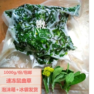 鼠曲草冷冻青团艾草棉清田艾叶嫩野清明果草撩过真空装明菜软切草