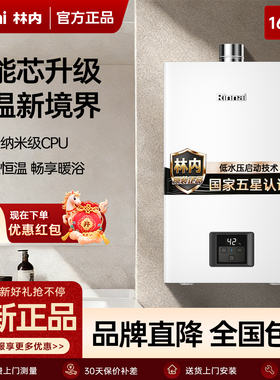 Rinnai/林内燃气热水器家用室内小蛮腰安全恒温官方13升16升GC21