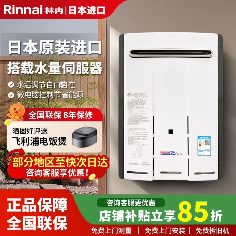 林内防冻室外恒温进口燃气热水器