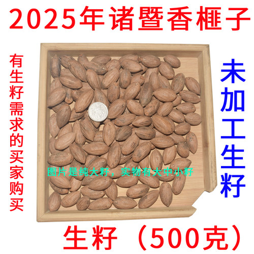 诸暨枫桥生籽香榧子500克