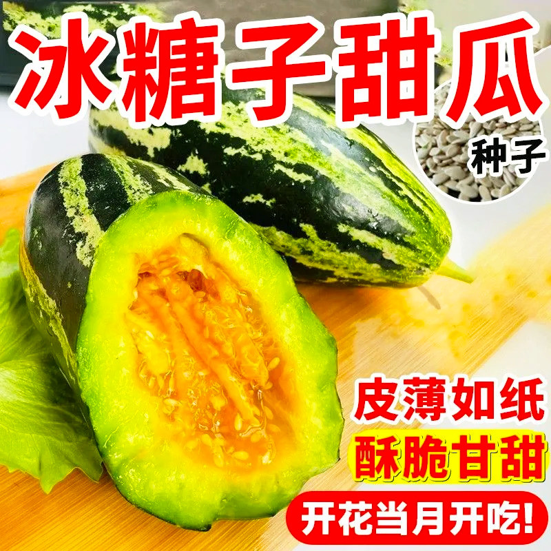 冰糖子甜瓜种子甜掉牙甜瓜种八里香甜瓜香瓜水果新鲜果蔬香甜可口