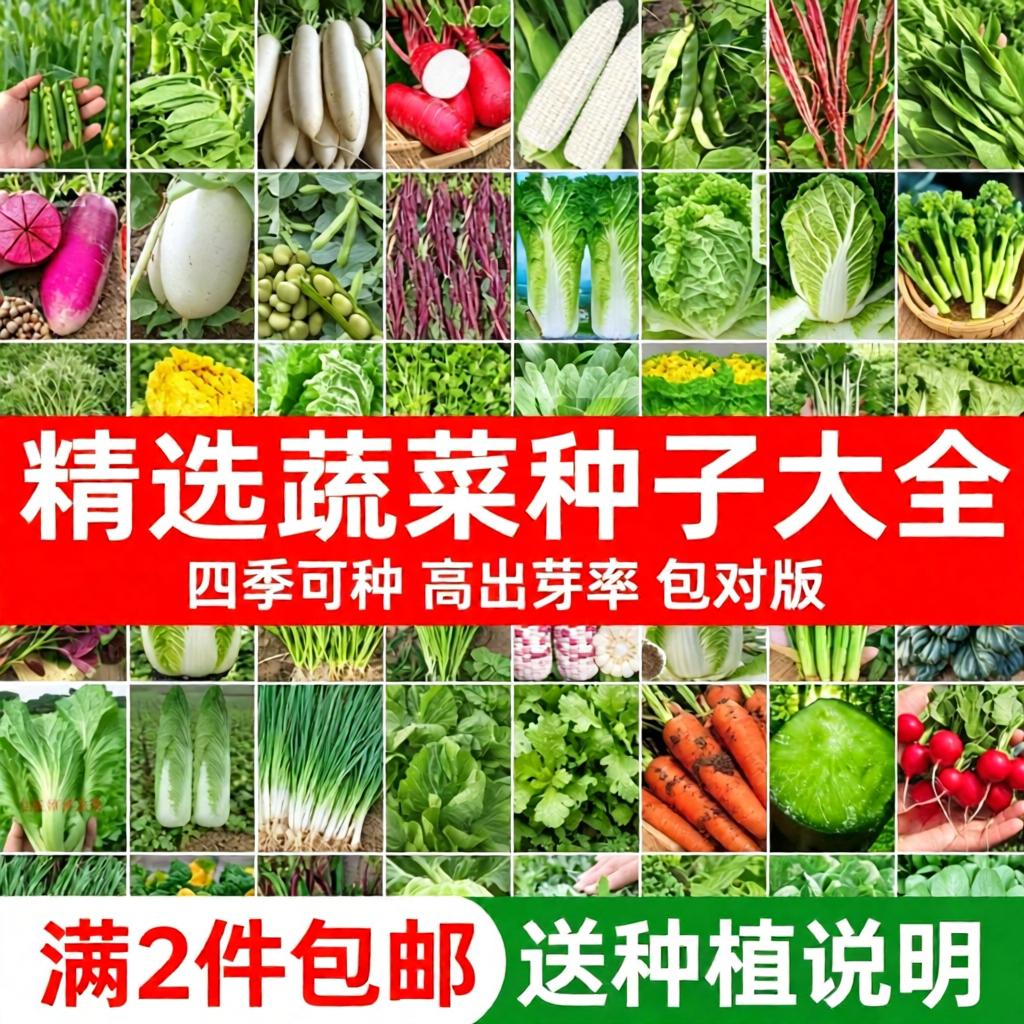 蔬菜种子组合装四季播阳台农家庭院盆栽辣椒番茄黄瓜韭菜香菜籽种