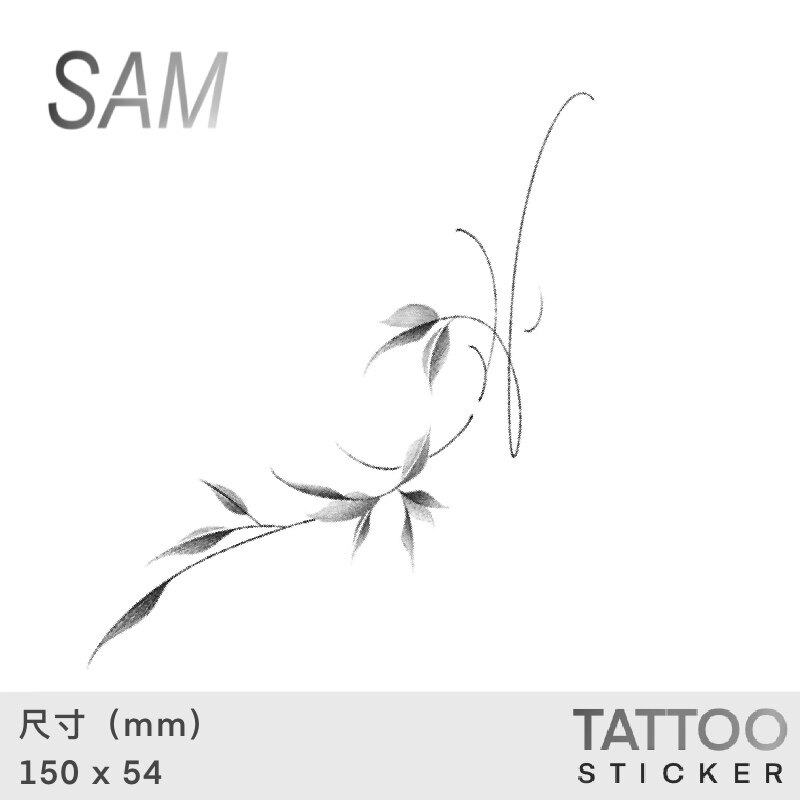 SAM - 秋绵 草本防水持久身体彩妆