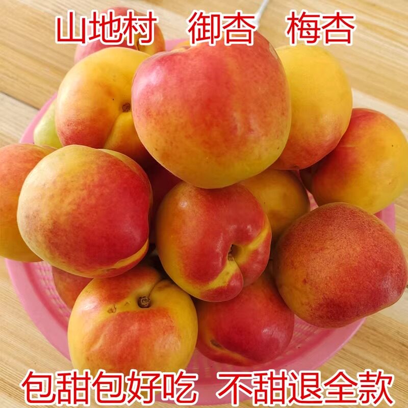 礼泉山底御杏杏子新鲜水果陕西红杏孕妇水果整箱5斤包邮梅杏御杏