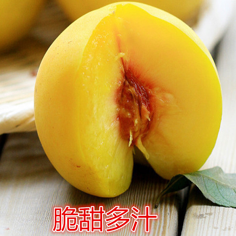 5斤陕西新鲜水果黄桃锦绣