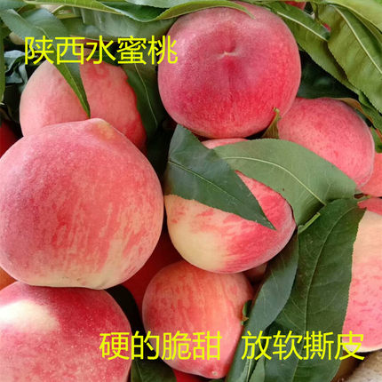 桃子新鲜水果陕西突围水蜜桃红桃孕妇水果整箱10斤包邮水蜜桃