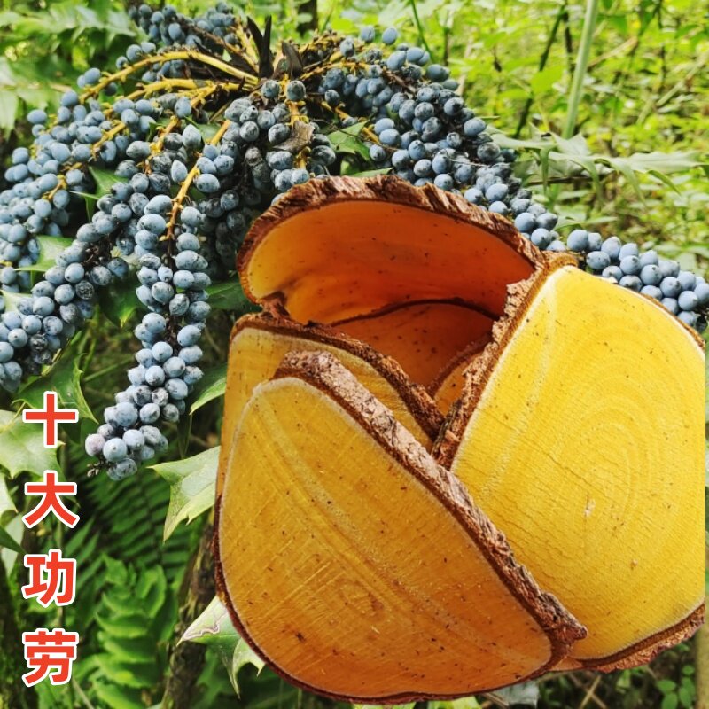 贵州十大功劳中药材土黄柏黄天竹刺黄莲土黄莲新鲜切片晒干功劳木