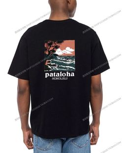 夏季 Patagonia 男士 女38538 巴塔哥尼亚T恤 冲浪印花休闲纯棉短袖