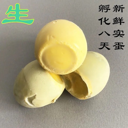 孵化实蛋鸡蛋天然孵化7~8天的生鸡蛋水蛋寡蛋臭蛋烧烤非活珠子
