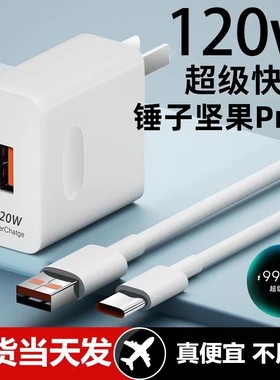 适用锤子坚果Pro3充电器超级快充头120W闪充电器线原装通用6A手机插头数据线