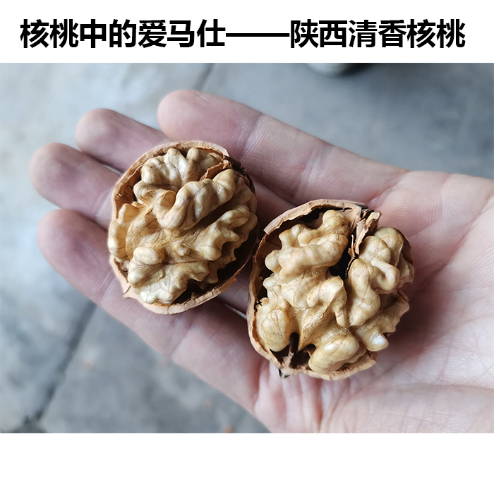 陕西清香核桃薄皮核桃原生态