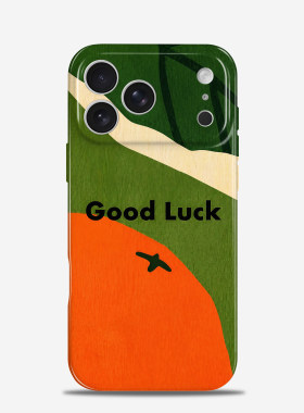 大橘大利 适用iPhone17promax苹果16plus手机保护壳15/14/13/12华为mate80好运ins风pura70高级感小众90小米1