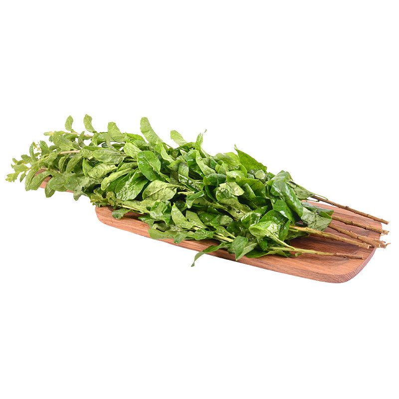 精选枸杞菜200g