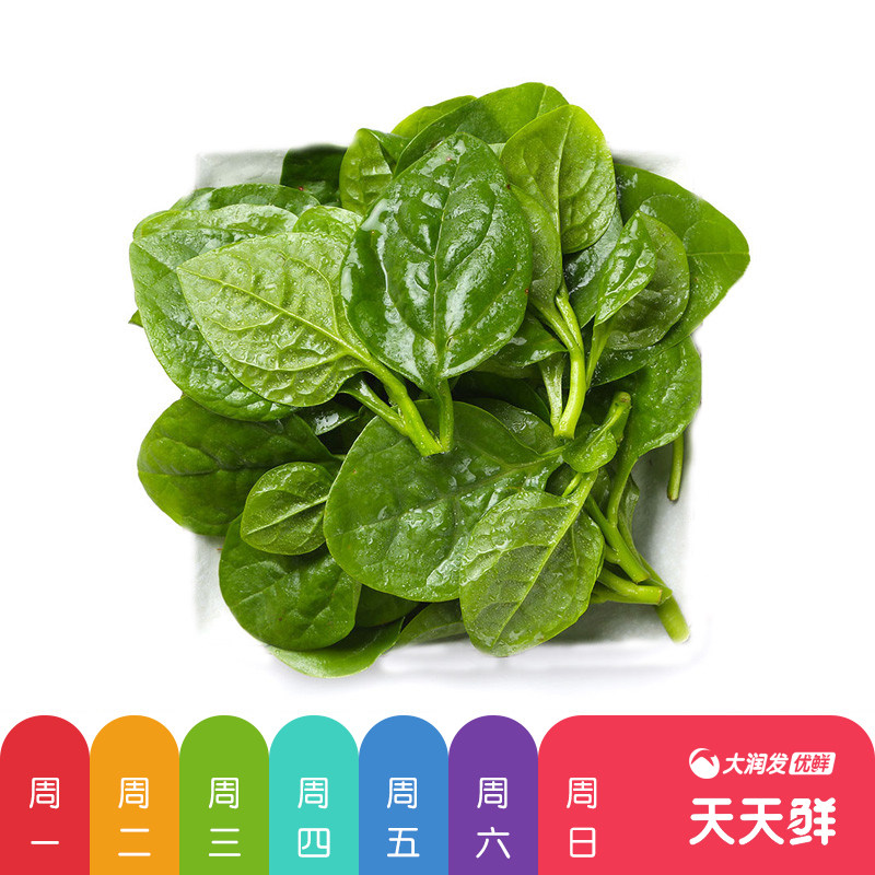 天天鲜 紫角叶 300g/份(木耳菜)