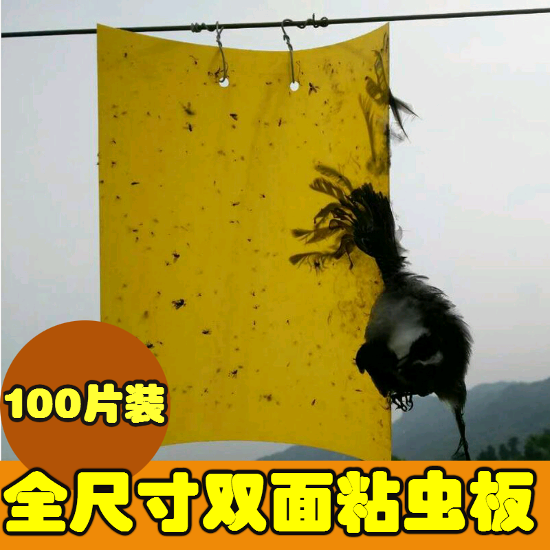 双面粘虫板黄蓝色诱黏沾虫板纸贴茶园果树蔬菜大棚飞虫果蝇蓟马