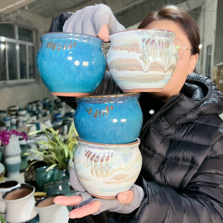 高10口10,鲜花速递/花卉仿真/绿植园艺,花盆,淘宝优惠券,粉丝福利购,淘宝优惠卷