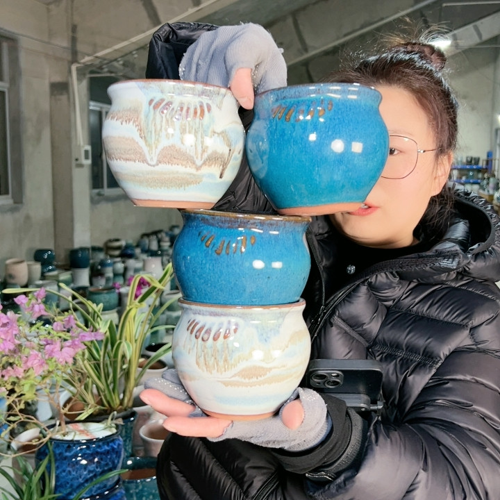 口10高10,鲜花速递/花卉仿真/绿植园艺,花盆,淘宝优惠券,粉丝福利购,淘宝优惠卷