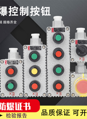 防爆控制按钮BZA/LA53急停自锁旋钮开关CT6启动停止自复位按钮盒