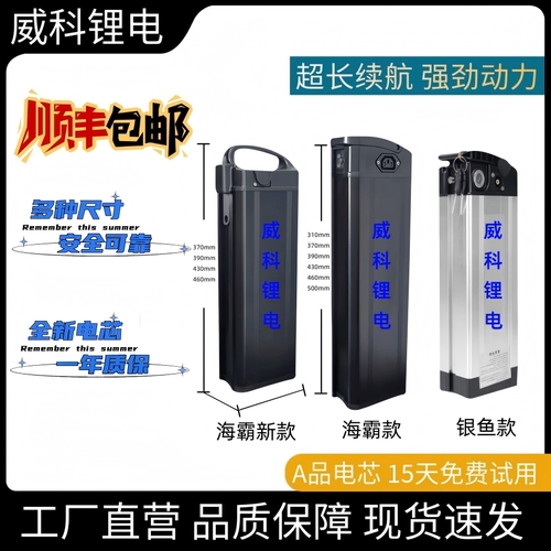 全新48v20A锂电池代驾折叠车电瓶