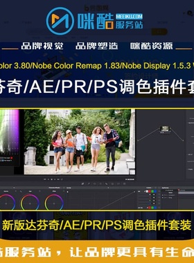 达芬奇/AE/PR/PS调色插件套装False Color 3.80 Nobe Color Remap