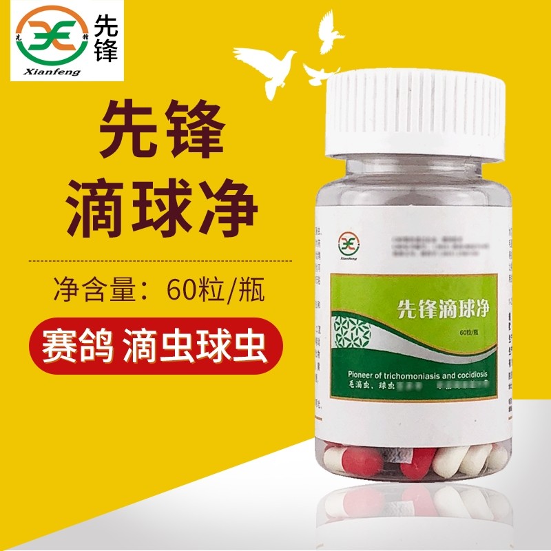 先锋鸽药滴球净胶囊鸽子药血便水便口黄毛滴虫球虫二合一鸽药