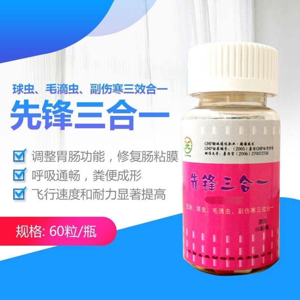 先锋鸽药三合一胶囊60粒赛鸽信鸽球虫毛滴虫副伤寒三合一鸟鸽子药