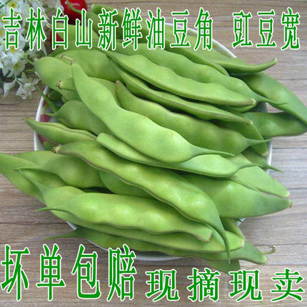 东北新鲜油豆角豇豆宽新鲜蔬菜现摘现发一点红开锅烂当季新油豆角