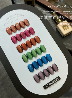 VDN2025年新款甲油胶丝绒宽猫眼美甲店秋冬流行色系小套系