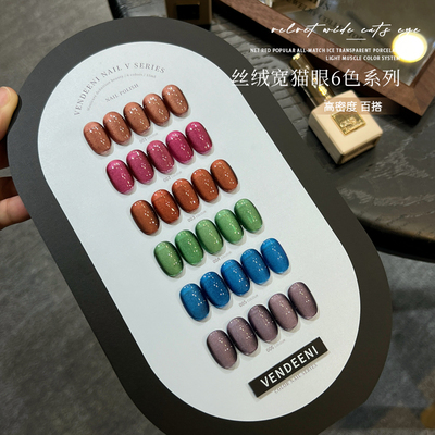 VDN2025年新款甲油胶丝绒宽猫眼美甲店秋冬流行色系小套系