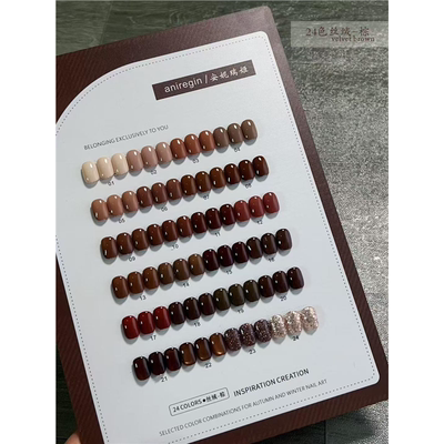 惠萱安妮瑞姬24色丝绒棕新品甲油胶秋冬流行色高级显白美甲店开店