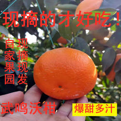 正宗广西沃柑新鲜水果纯甜不酸一级大果非德庆贡柑现摘现发10斤