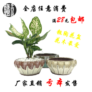 晓煜多肉花盆陶瓷花卉桌面绿植肉肉花器盆景复古透气简约复古大号