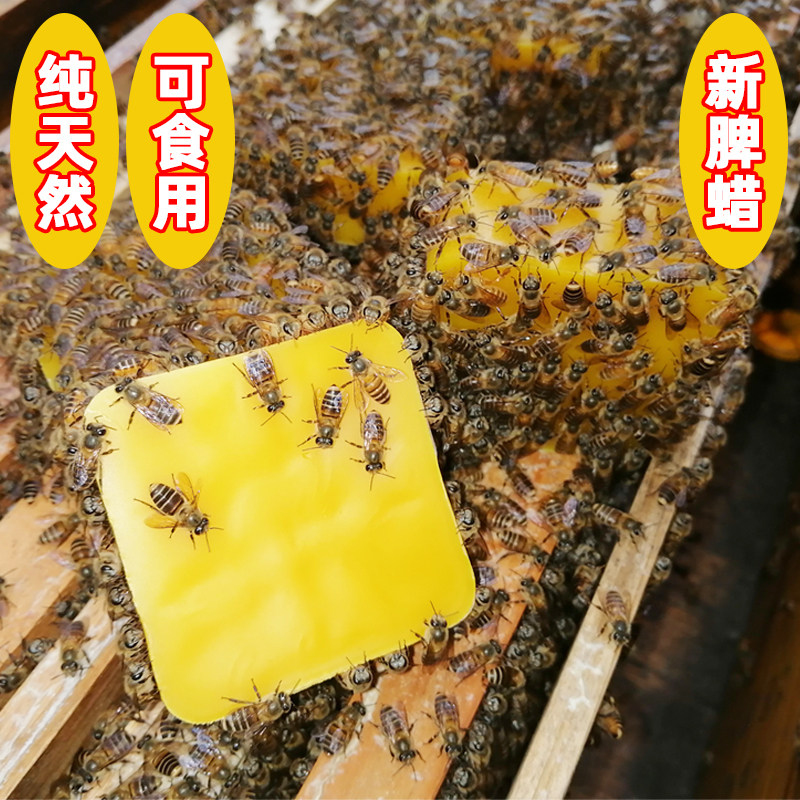 纯天然可食用食品级土蜂蜡口红唇膏材料中医药木用梅州黄蜂腊块粒