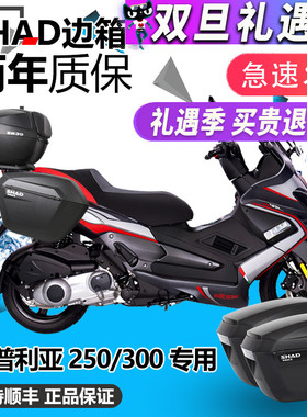 SHAD士雅的适用比亚乔SRMAX300阿普利亚250边箱尾箱三箱改装支架