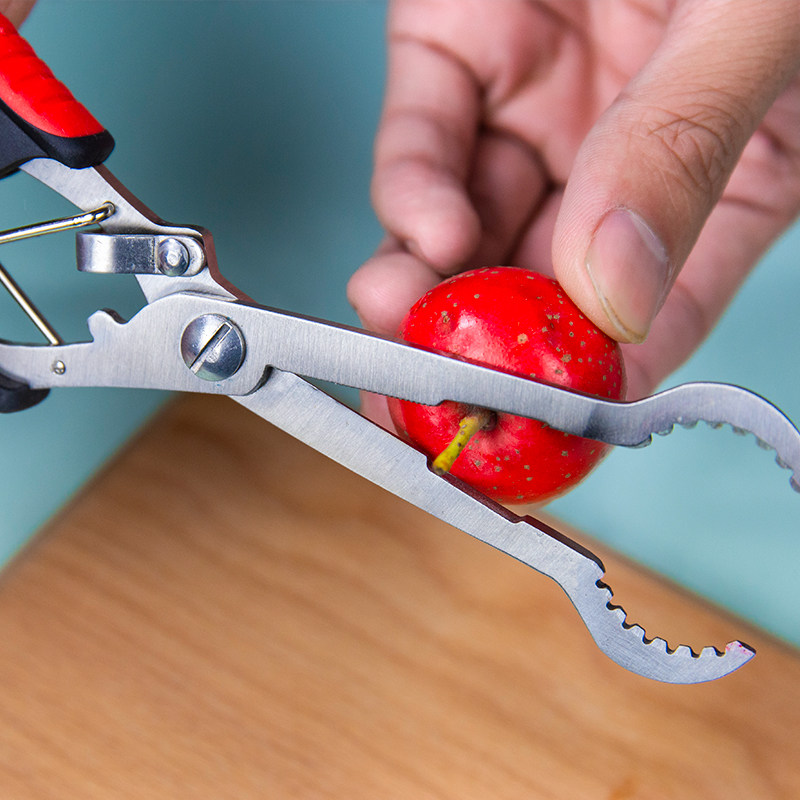 新款山楂去核器家用去山楂核神器冰糖葫芦制作工具钳子取核器取心