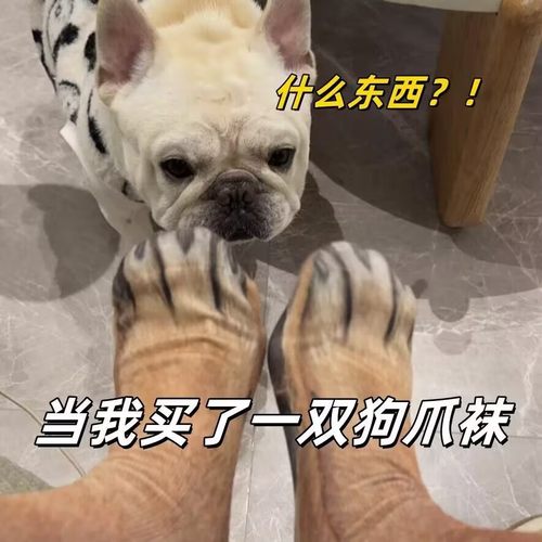 抽象恶搞稀奇古怪搞怪女生送男朋友闺蜜实用的创意小众玩意高级感