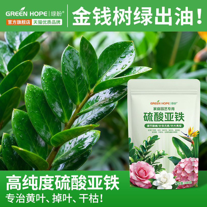 金钱树专用营养液肥料硫酸亚铁复合肥绿植发财树植物黄叶烂根掉叶,鲜花速递/花卉仿真/绿植园艺,家庭园艺肥料,淘宝优惠券,粉丝福利购,淘宝优惠卷