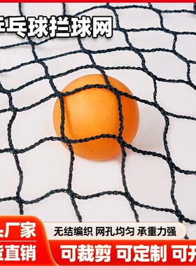 乒乓球训练网便携式场地防护网乒乓球拦球网不捡球羽毛球场地围网